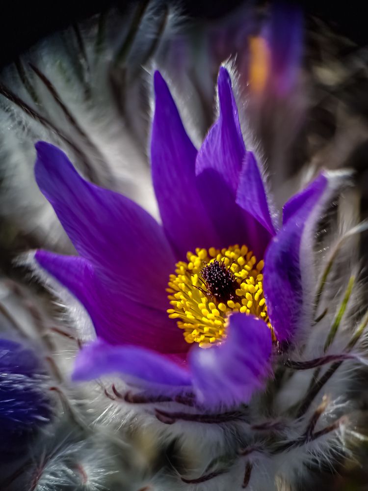 Photograph by Лариса Когтева