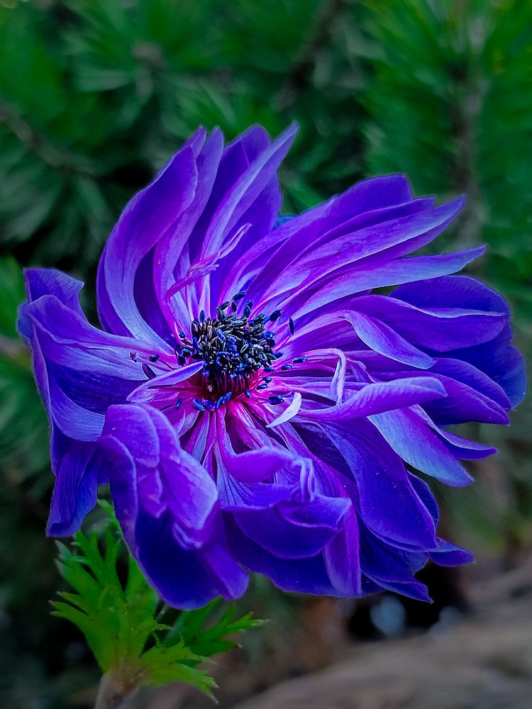 Photograph by Лариса Когтева