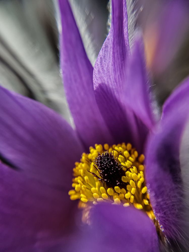 Photograph by Лариса Когтева