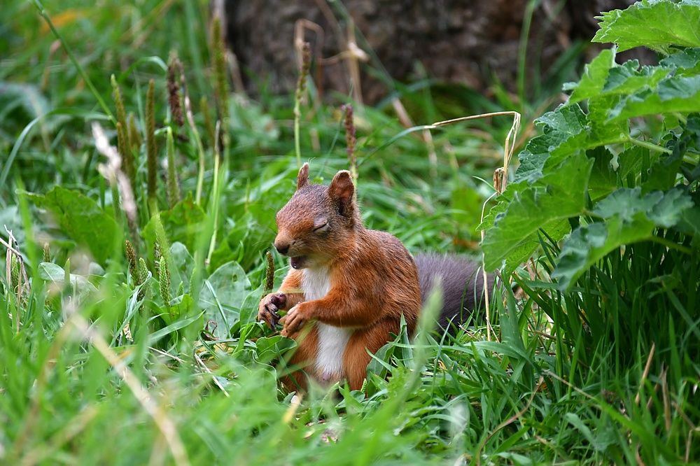 Photograph by Neil Martin
