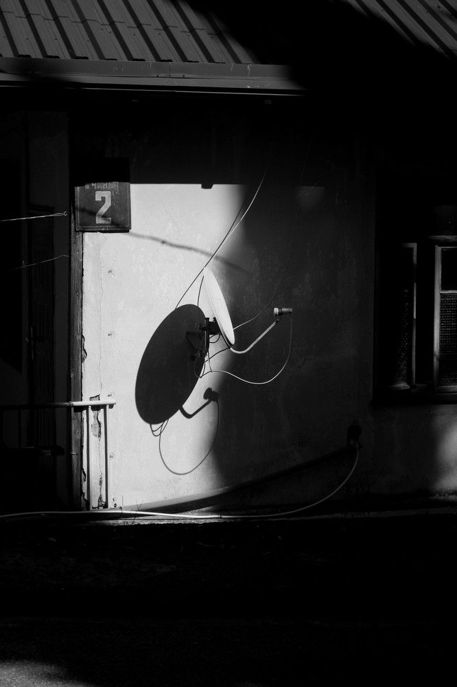 Фотография автора Анастасия Горбунова