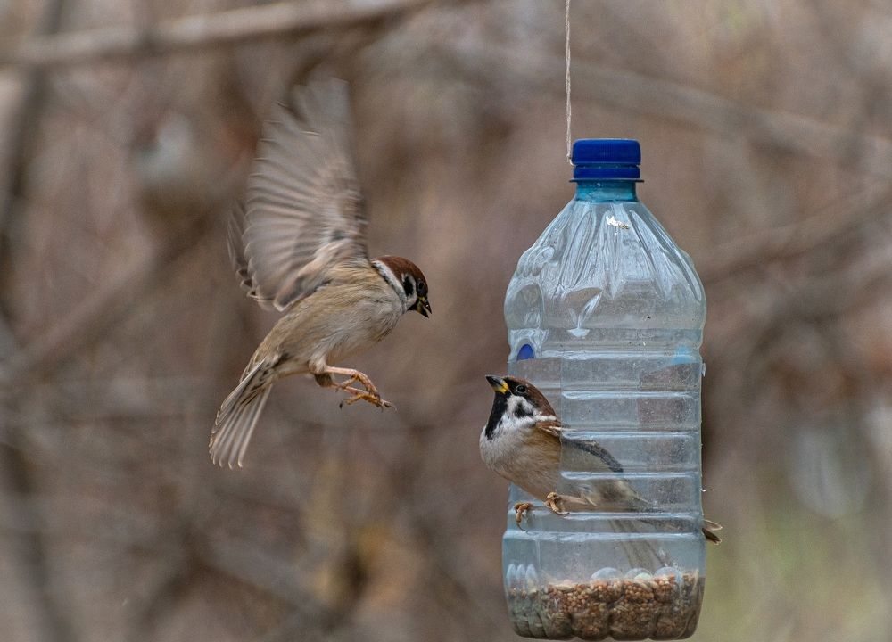 Photograph by Сергей Басов
