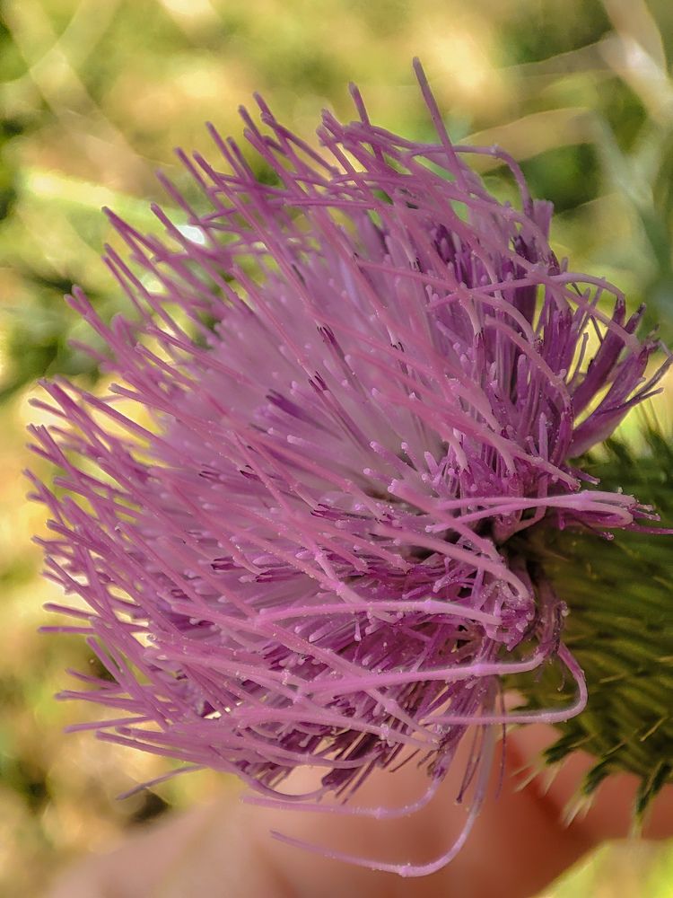 Photograph by Валентина