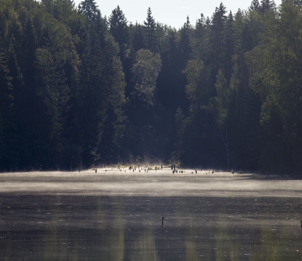 Photograph by Сергей Старостин