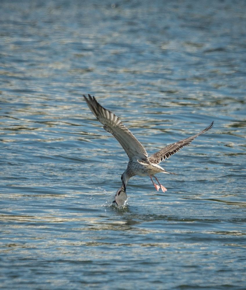 Photograph by Сергей Басов