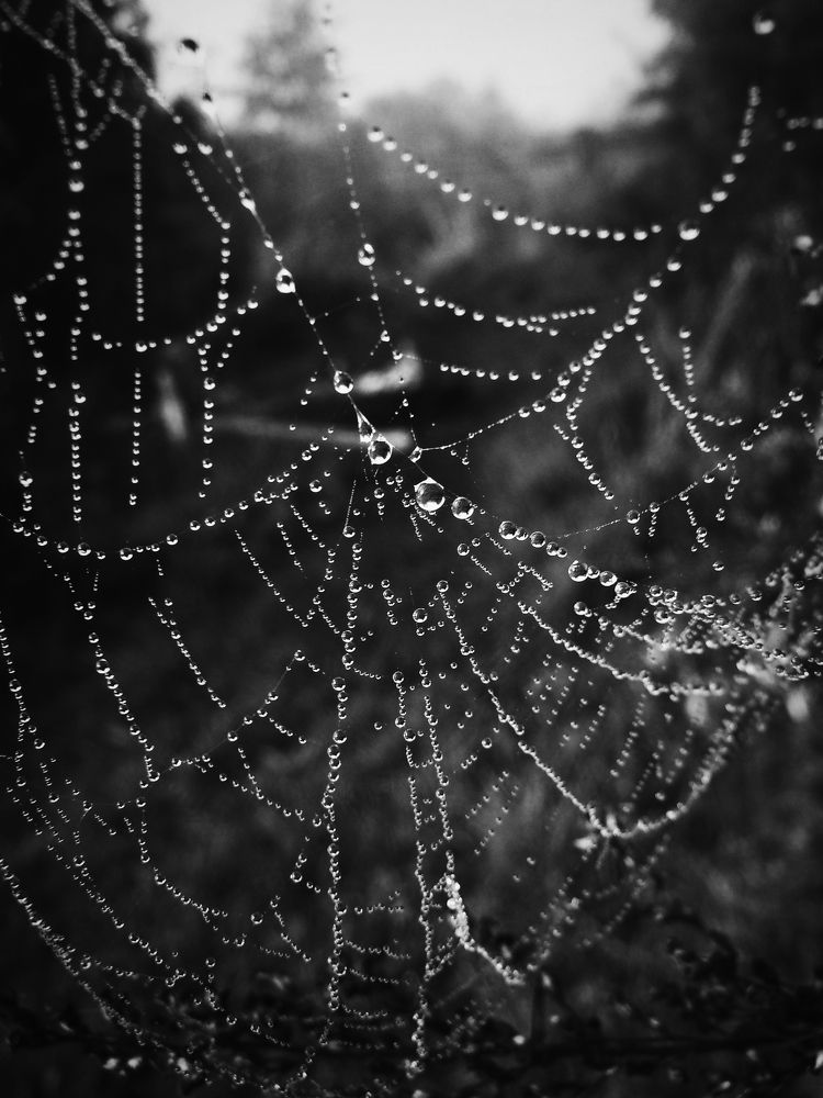 Photograph by Ирина Сергейчук