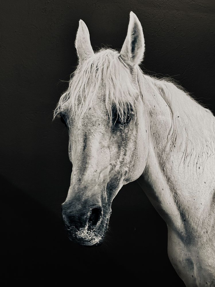 Фотография автора Анастасия Вуккерт