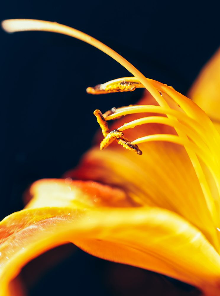 Photograph by Катя Филиппова