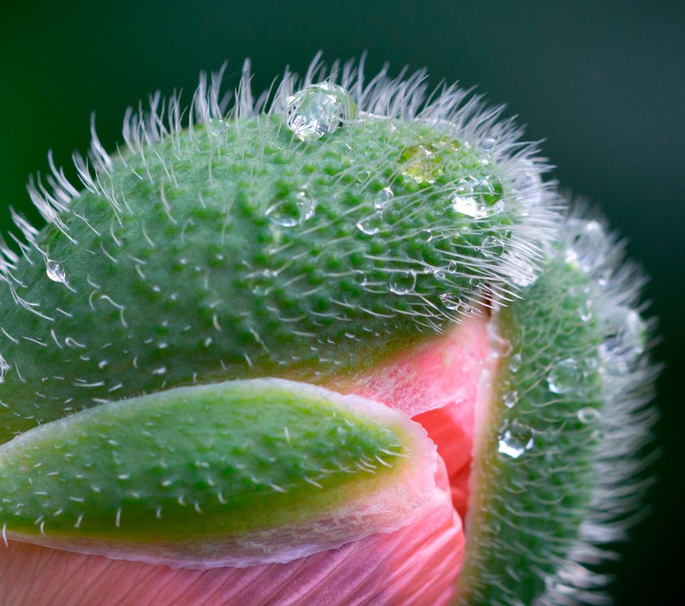 Фотография автора Людмила Прокофьева