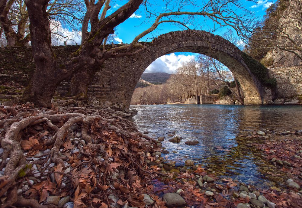 Фотография автора Людмила Прокофьева