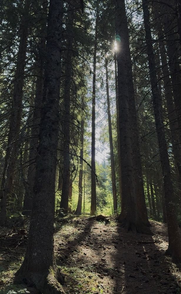 Photograph by Marianna Zakirova