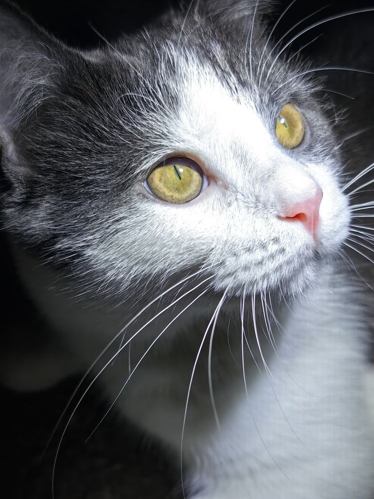 Photograph by OLGA MIKHNEVICH