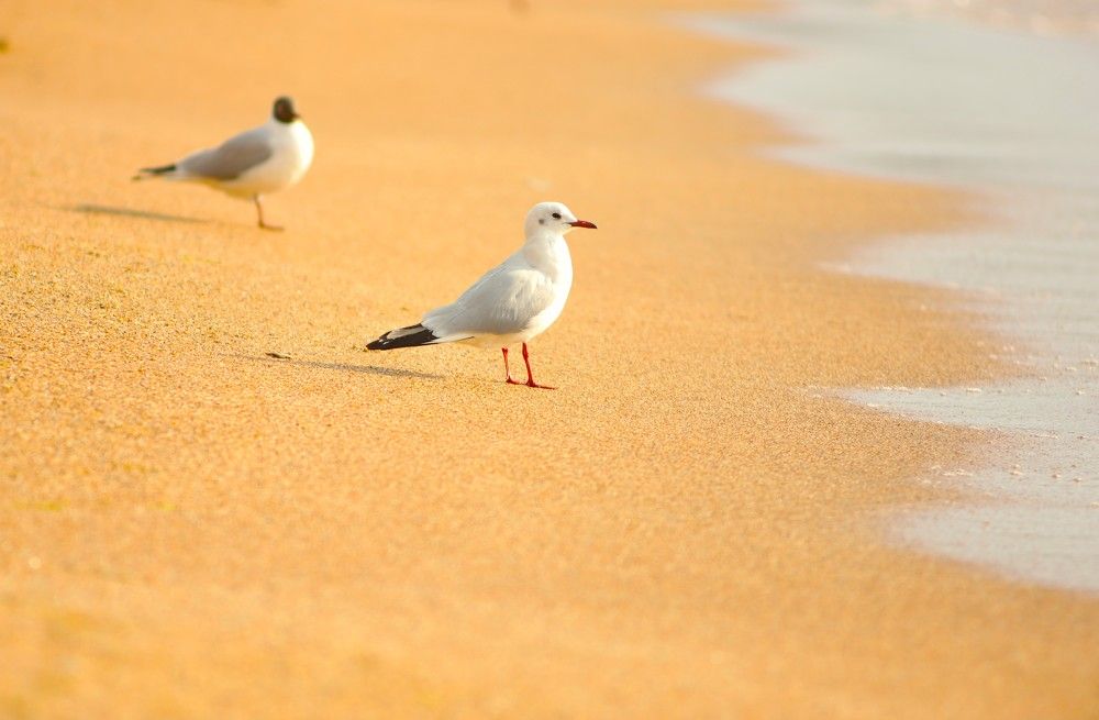 Фотография автора Михаил Лупина