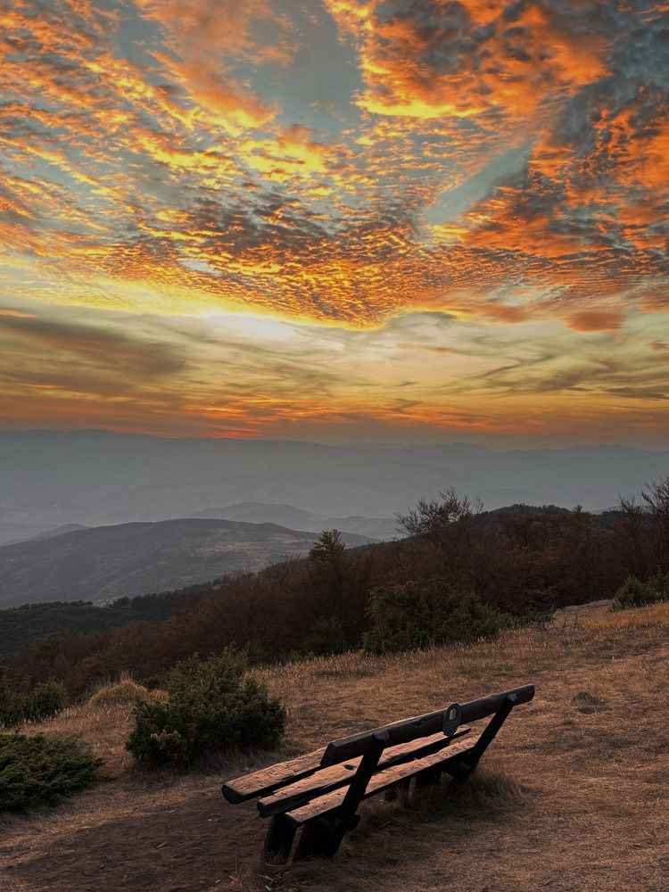 Photograph by Marianna Zakirova