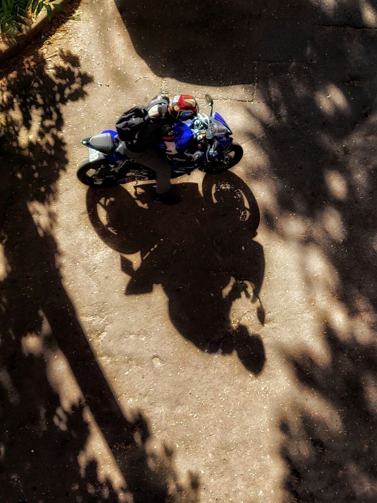 Photograph by Алина