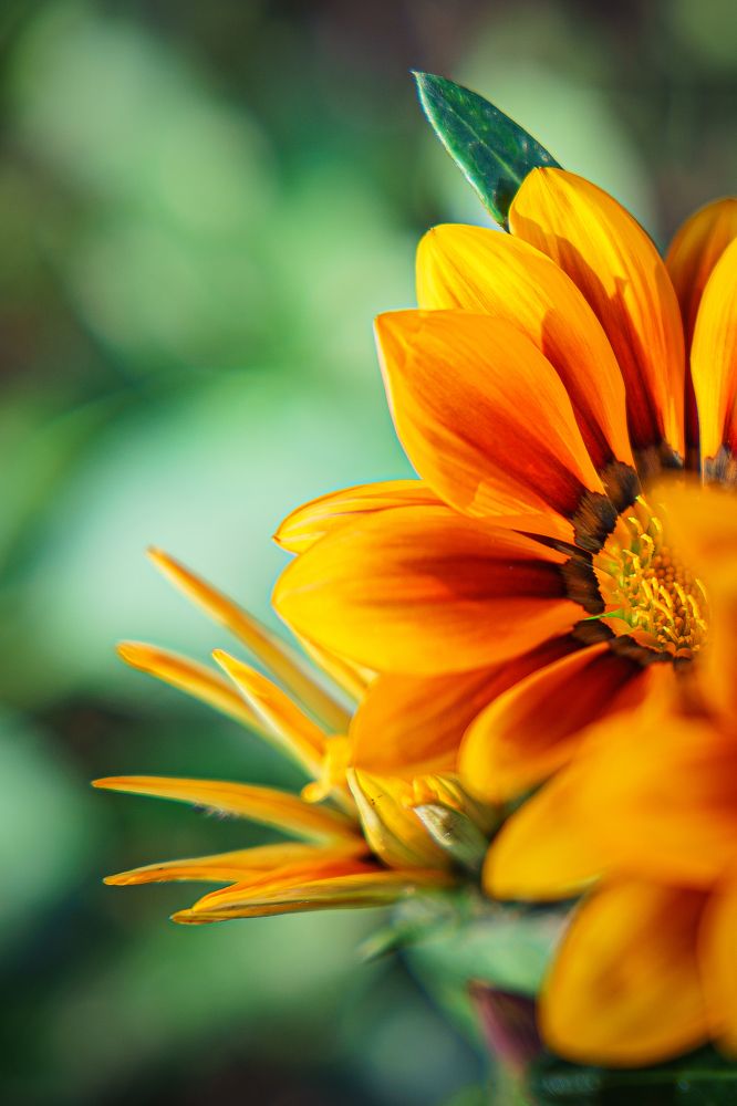 Photograph by Людмила Панюхина