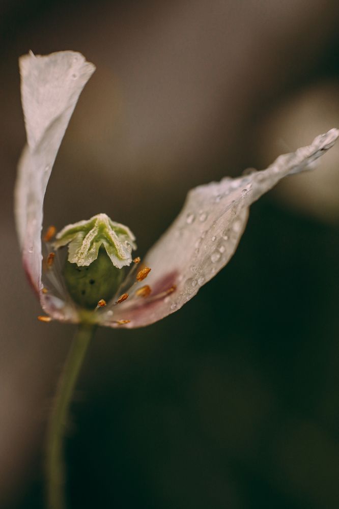 Photograph by Катя Филиппова