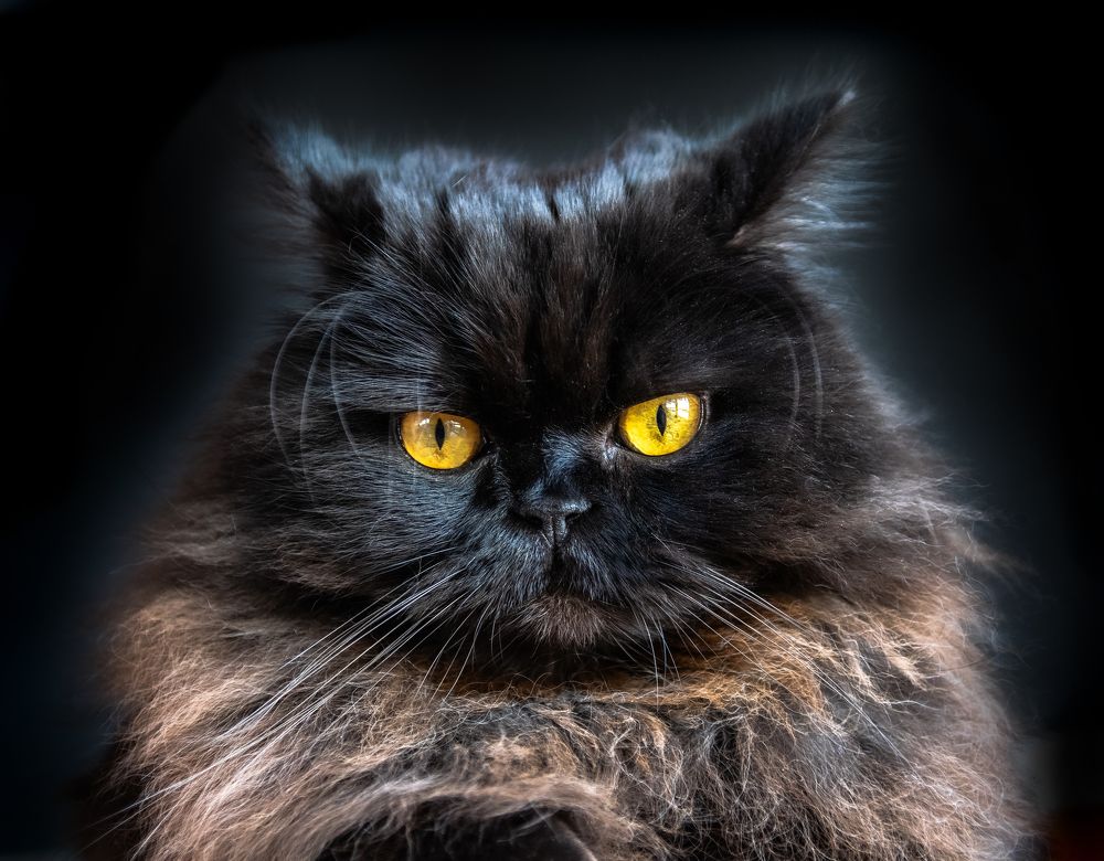 Photograph by Станислав