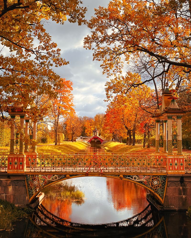 Фотография автора Анастасия Мазурева