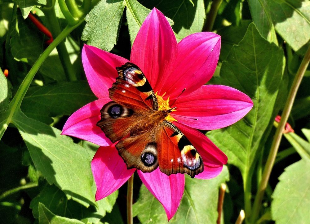 Photograph by backareva irina