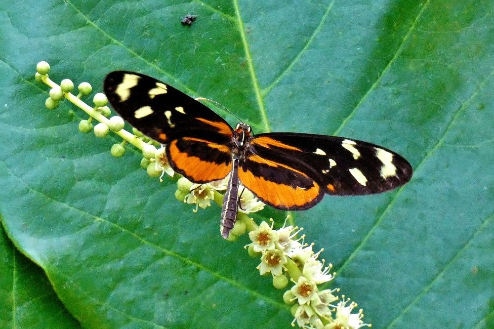 Photograph by backareva irina