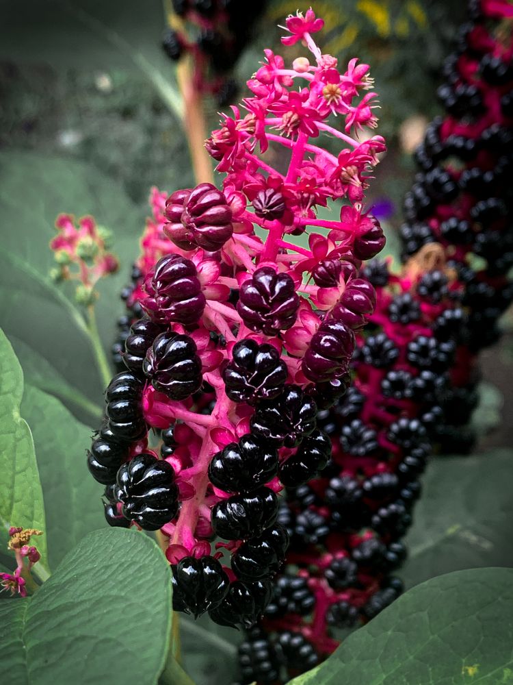 Photograph by Анна Потапова