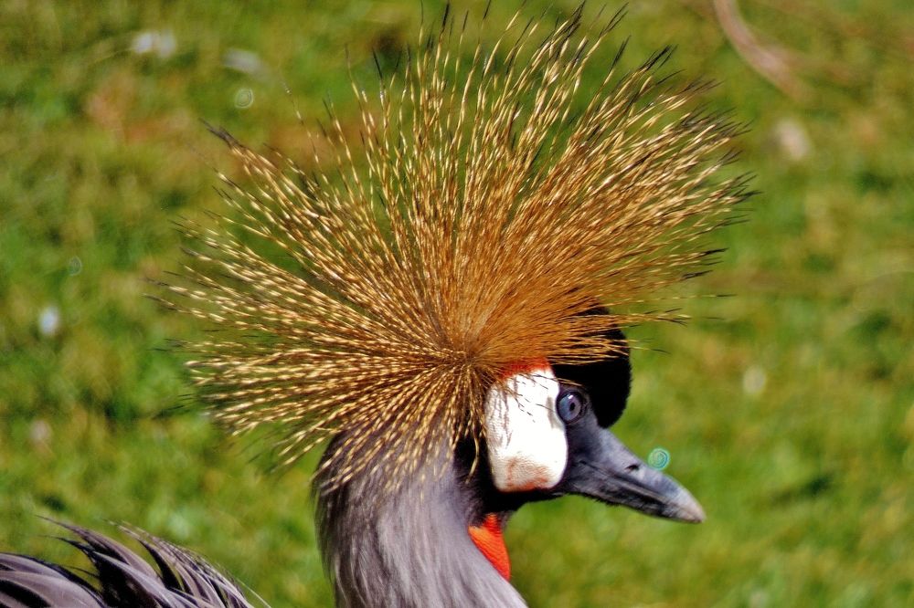 Photograph by backareva irina