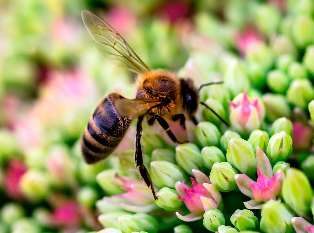 Фотография автора Людмила Прокофьева