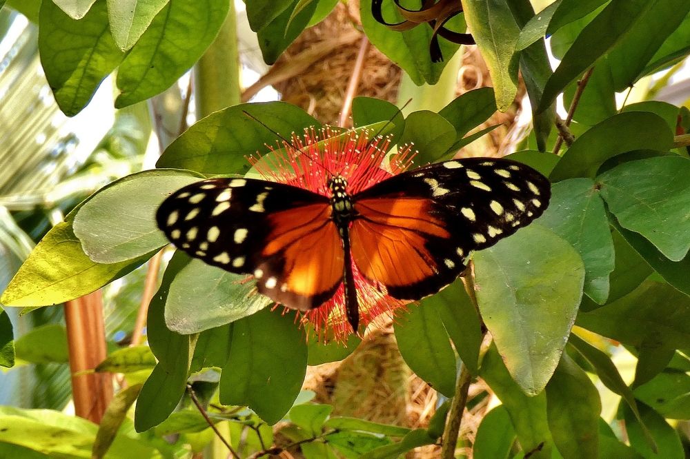 Photograph by backareva irina