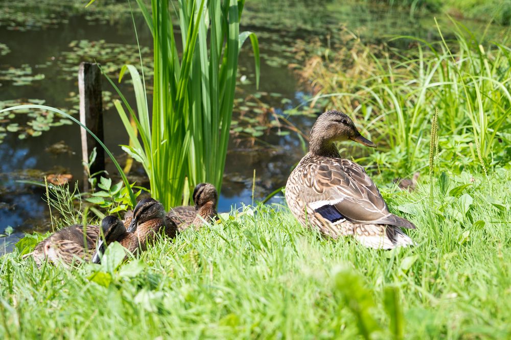 Photograph by Евгений