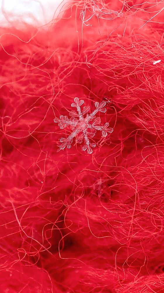 Photograph by Ирина Строкова