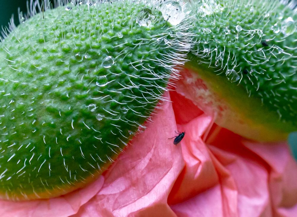 Фотография автора Людмила Прокофьева