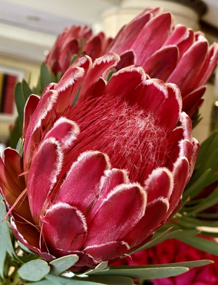 Фотография автора Рамзия Хисамутдинова