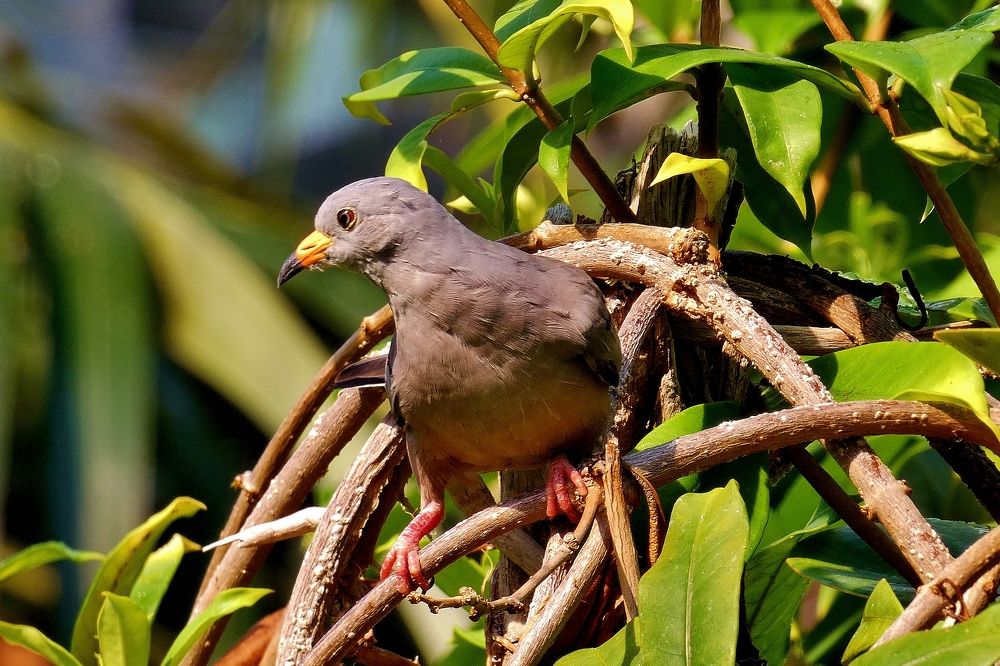 Photograph by backareva irina