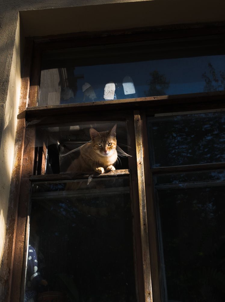 Photograph by Александр Иванов