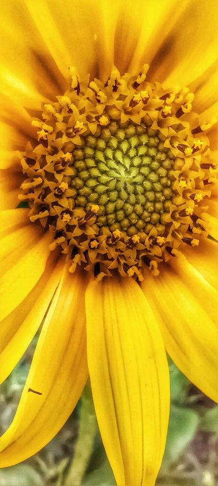 Photograph by Валентин Волк