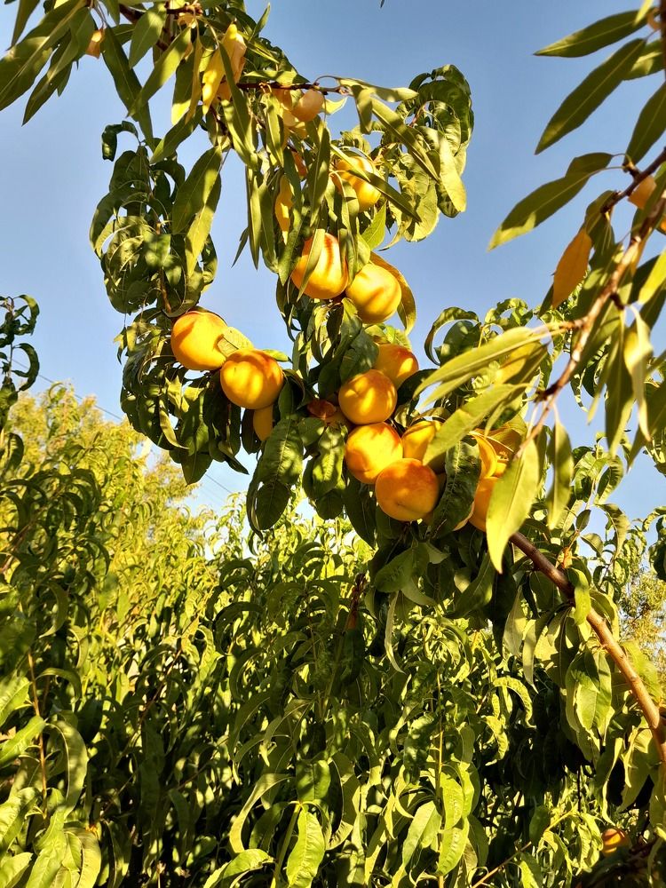 Photograph by Татьяна Ситникова