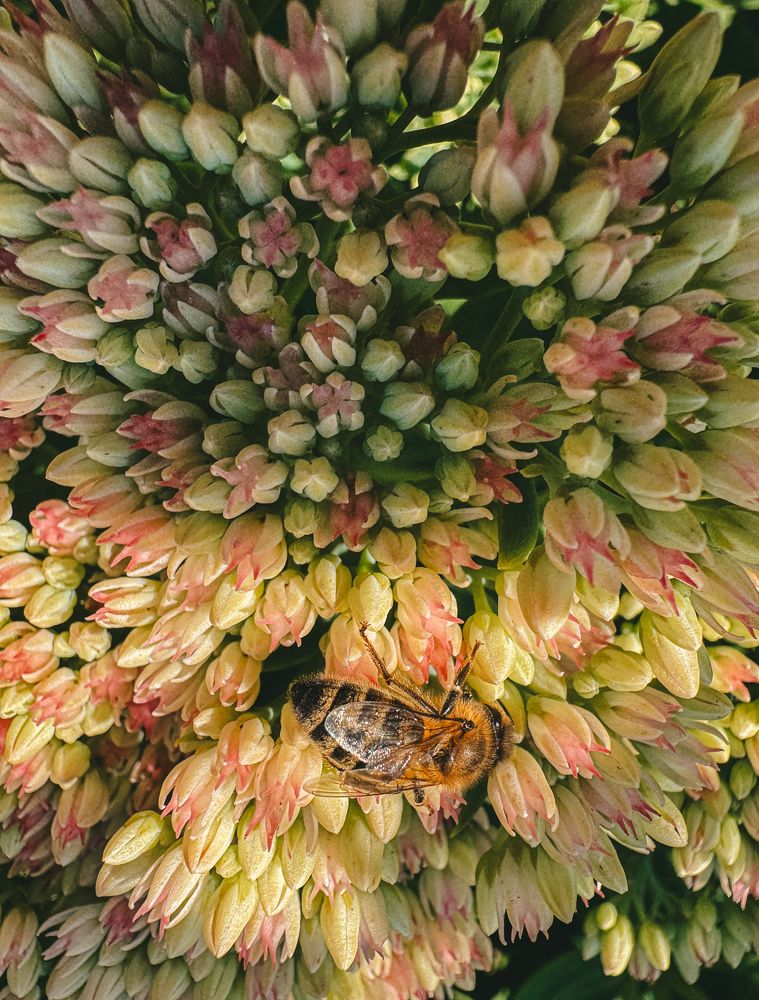 Photograph by Виктория Лаур