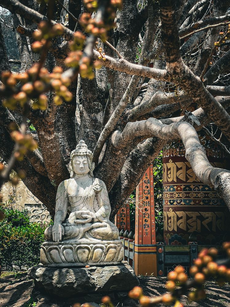 Photograph by Wallace Chan
