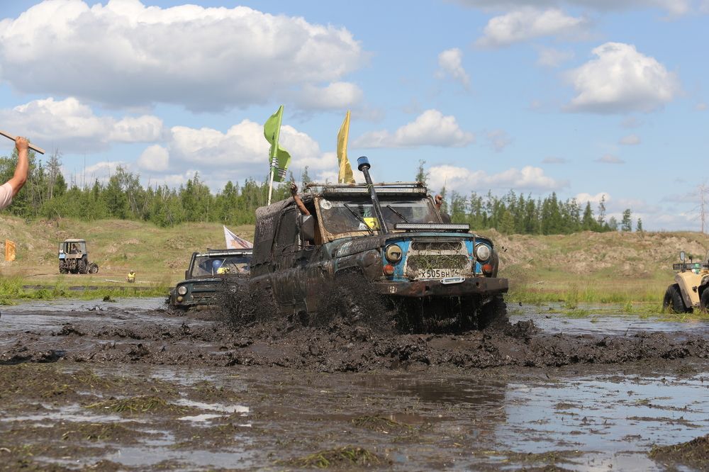 Чемпион Мохсогол