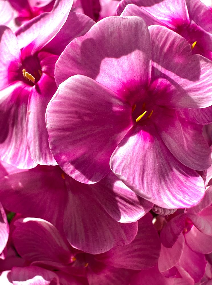 Photograph by Татьяна