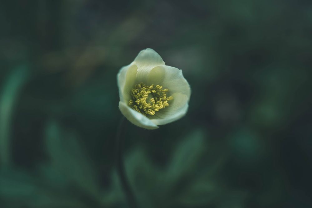 Photograph by Александр Григорьев