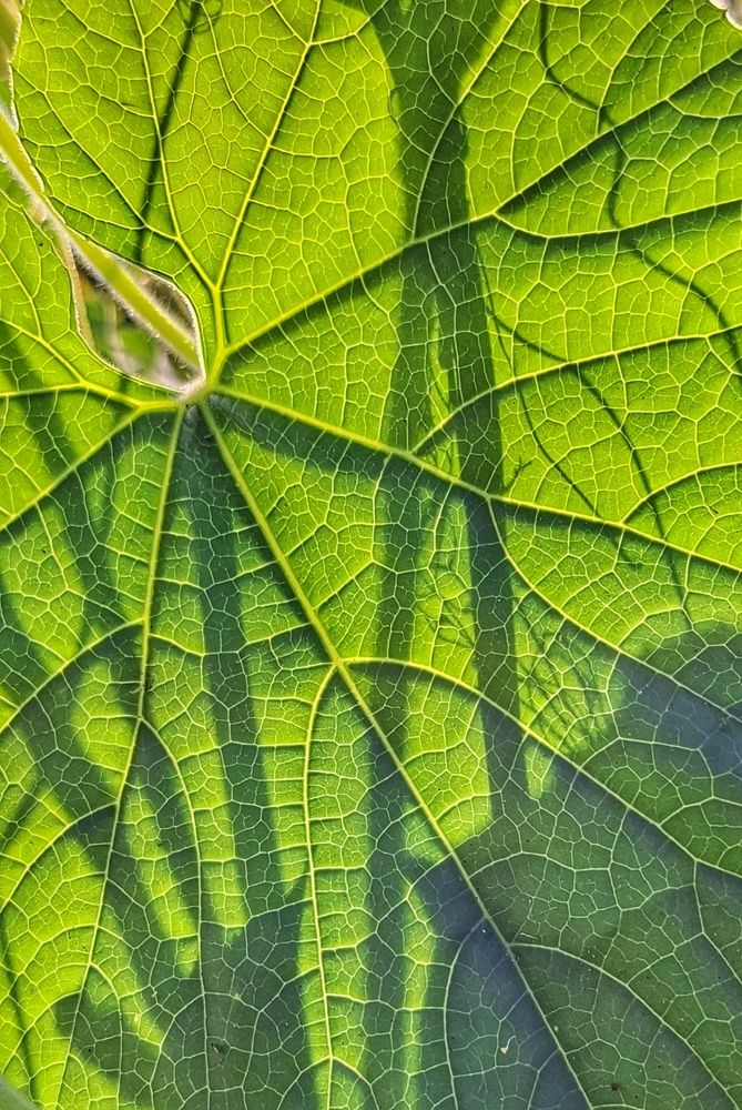 Photograph by Мария Андреева