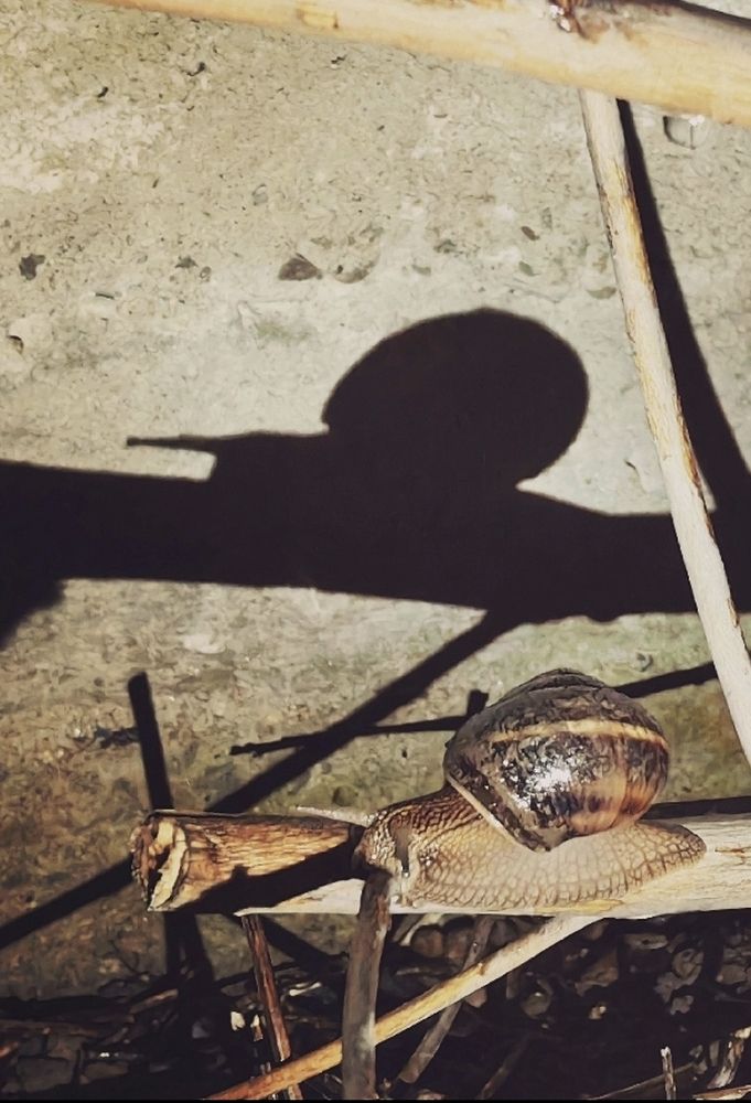 Photograph by Ирина Тихая