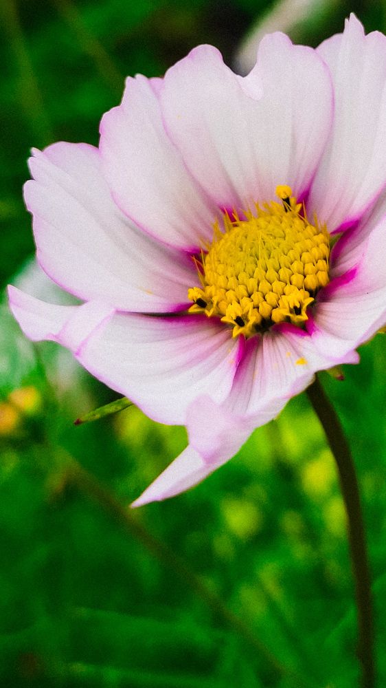 Photograph by Евгения Гродинская