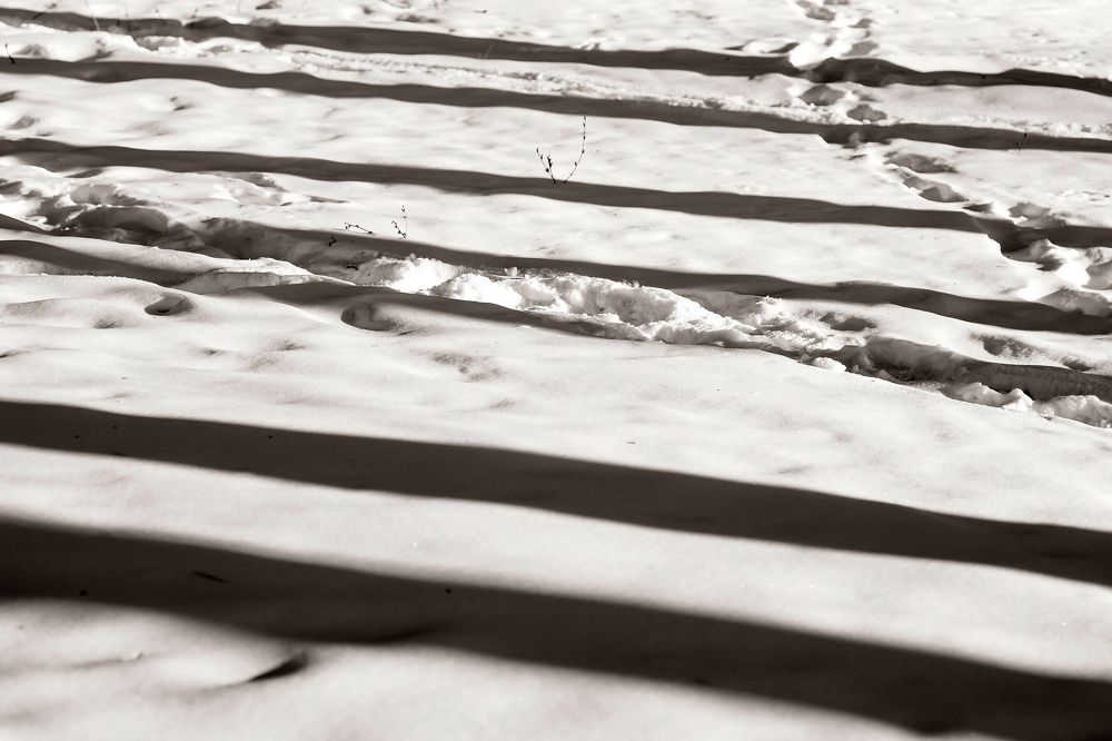 Photograph by Владимир Салапонов