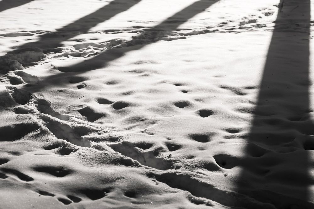 Photograph by Владимир Салапонов