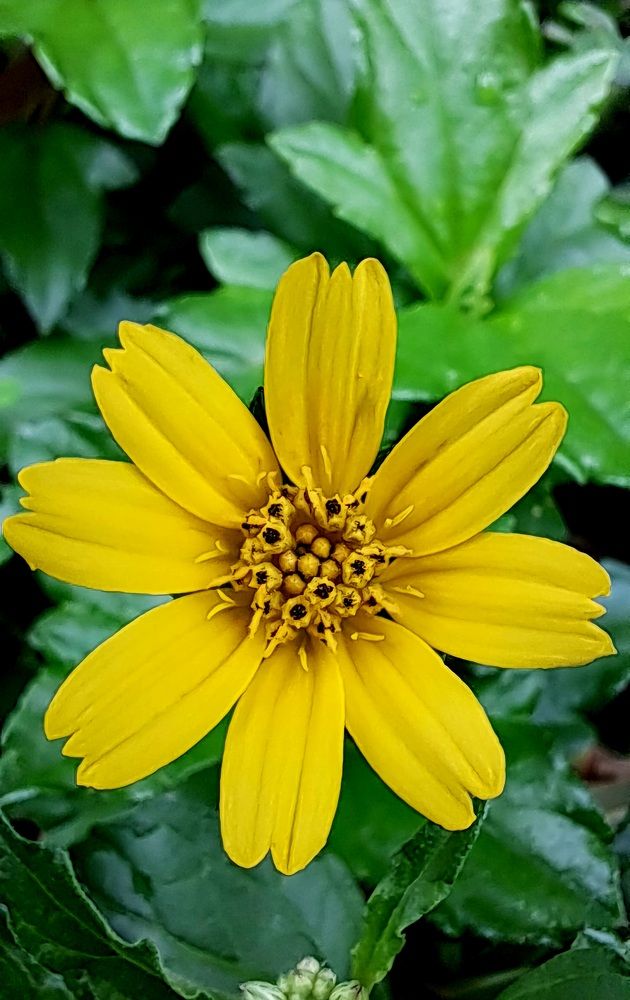 Photograph by FELOMINA ENDEREZ