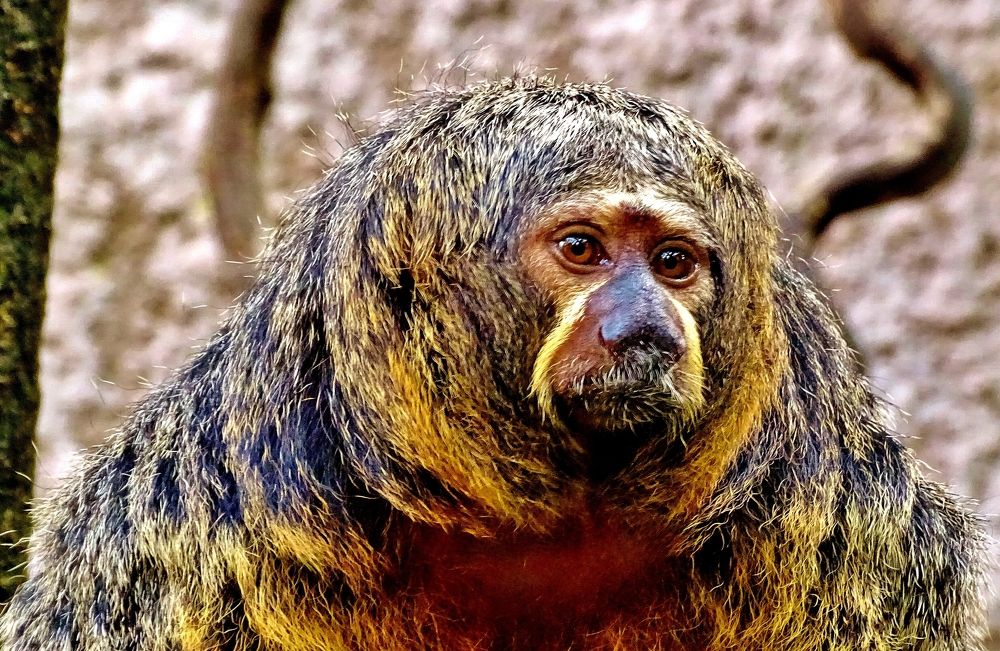 Photograph by backareva irina