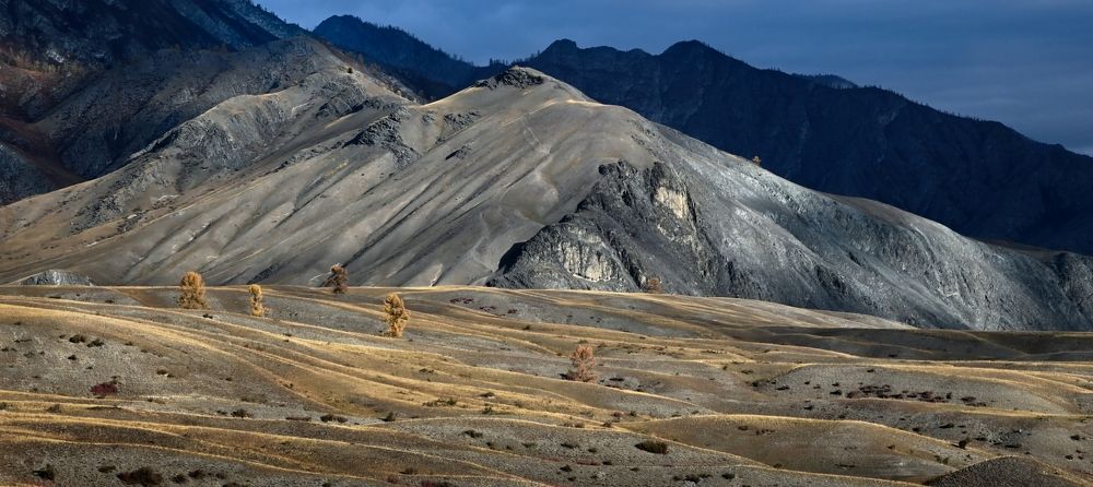 Ритмичные структуры